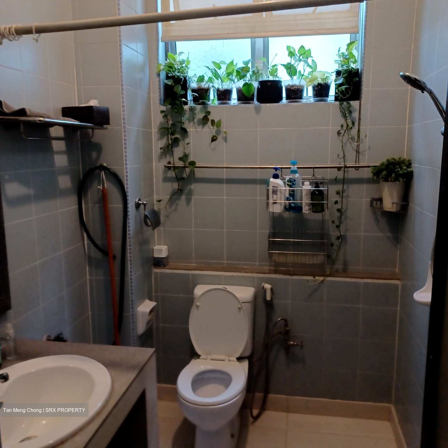 Uni Building (D15), Apartment #511143061